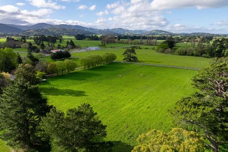 Photo of property in 399 Dalefield Road, Dalefield, Carterton, 5791