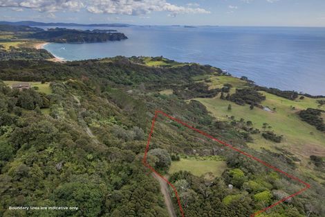 Photo of property in 425d Boat Harbour Road, Whenuakite, Whitianga, 3591