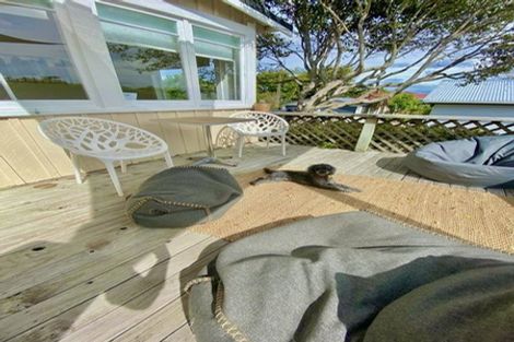 Photo of property in 17 Iwa Street, Mapua, 7005