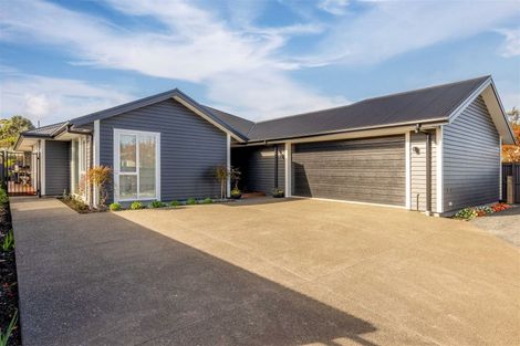 Photo of property in 38 Raleigh Street, Bishopdale, Christchurch, 8053