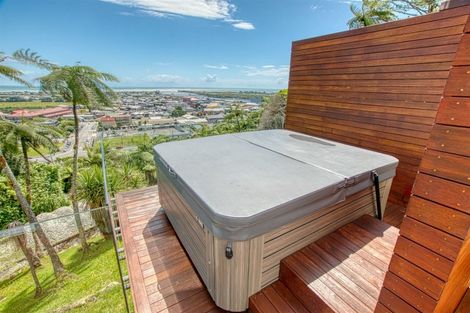 Photo of property in 41 Puketahi Street, Greymouth, 7805