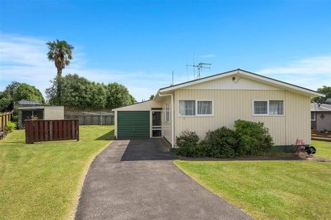 Photo of property in 2 Griffiths Street, Putaruru, 3411