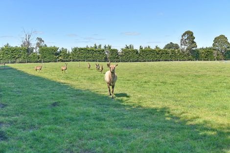 Photo of property in 496 West Melton Road, West Melton, Christchurch, 7676