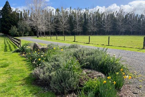 Photo of property in 403 Kapiro Road, Kerikeri, 0294