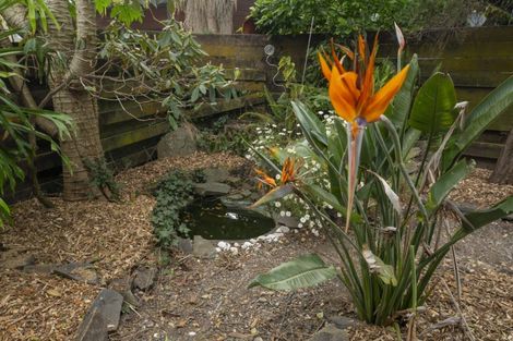 Photo of property in 69c Thirteenth Avenue, Tauranga South, Tauranga, 3112