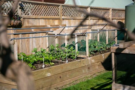 Photo of property in 10 Fairburn Place, Leamington, Cambridge, 3432