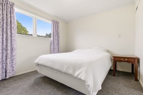 Photo of property in 40 Patikura Place, Turangi, 3334