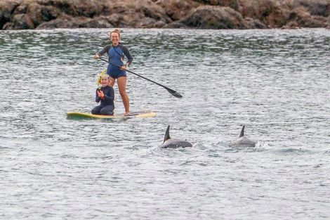 Photo of property in 203 Houghton Bay Road, Houghton Bay, Wellington, 6023