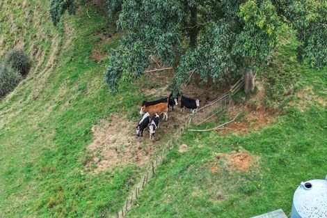 Photo of property in 590 Maratoto Road, Hikutaia, Paeroa, 3674