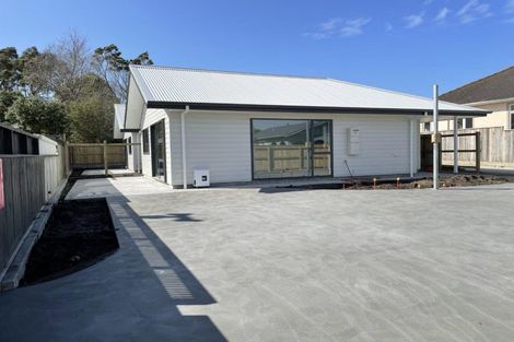 Photo of property in 24b Toro Street, Durie Hill, Wanganui, 4500