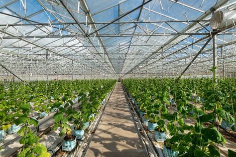 Photo of property in 1412 Dairy Flat Highway, Dairy Flat, Albany, 0794