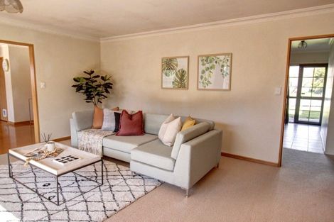 Photo of property in 19 Page Street, Redwoodtown, Blenheim, 7201