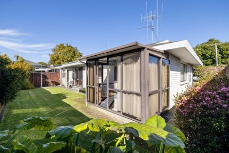 Photo of property in 55a Sixteenth Avenue, Tauranga South, Tauranga, 3112