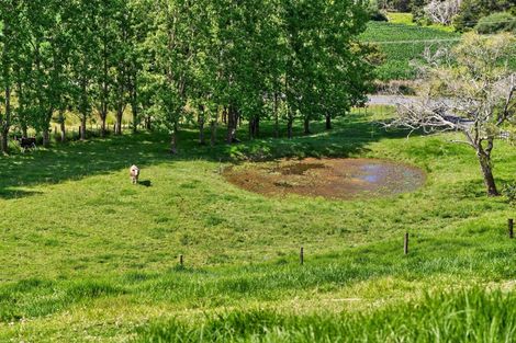 Photo of property in 386 South Road, Waipu, 0582