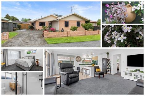 Photo of property in 15 Pembroke Drive, Bethlehem, Tauranga, 3110