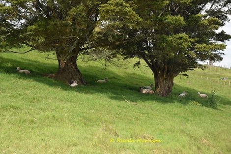 Photo of property in 69 Matakohe Wharf Road, Matakohe, 0593