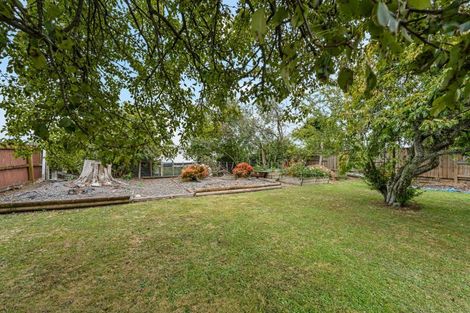 Photo of property in 33 Camden Street, Feilding, 4702