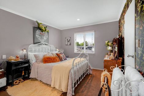 Photo of property in 22c Hunter Street, Hamilton Lake, Hamilton, 3204