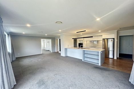 Photo of property in 46 Youngberry Drive, Richmond, 7020