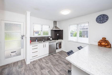 Photo of property in 191 Clarkin Road, Fairfield, Hamilton, 3214