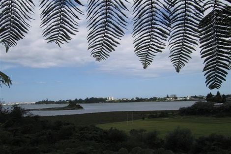 Photo of property in 14 Beaufort Avenue, Brookfield, Tauranga, 3110