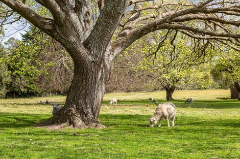 Photo of property in 188 Ahiaruhe Road, Ahiaruhe, Carterton, 5792