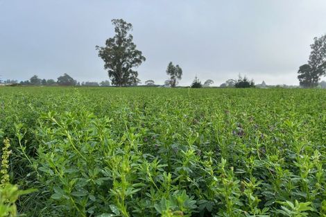 Photo of property in 783 Marshmans Road, Sefton, Rangiora, 7477