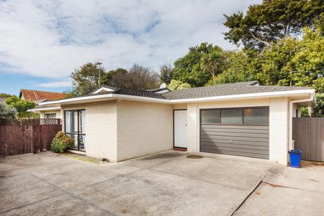 Photo of property in 340b Featherston Street, Palmerston North, 4414
