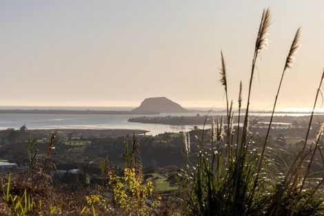 Photo of property in 213e Minden Road, Minden, Tauranga, 3176