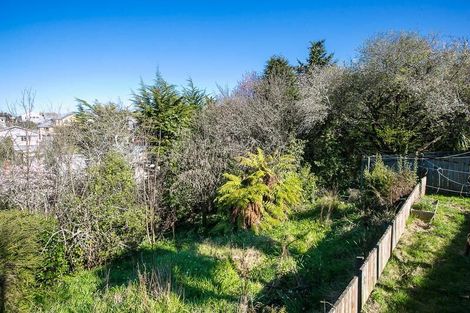 Photo of property in 33 Havelock Street, Mornington, Wellington, 6021