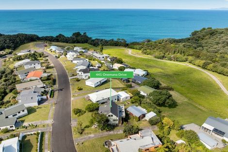 Photo of property in 441 Onemana Drive, Onemana, Whangamata, 3691