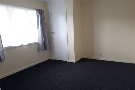 Photo of property in 53 Rogan Street, Mount Roskill, Auckland, 1041