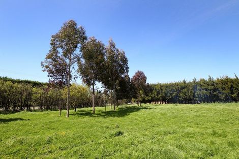 Photo of property in 87 York Road, Longlands, Hastings, 4120