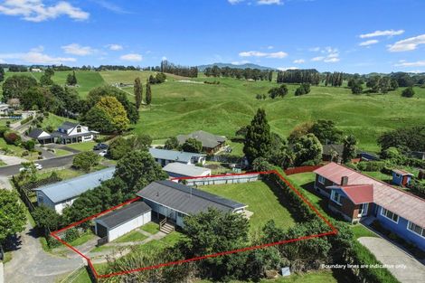 Photo of property in 17 Thornton Street, Putaruru, 3411
