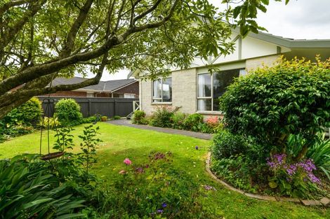 Photo of property in 175 Amberley Avenue, Highbury, Palmerston North, 4412