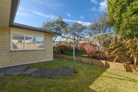 Photo of property in 3 Harmens Way, Greerton, Tauranga, 3112