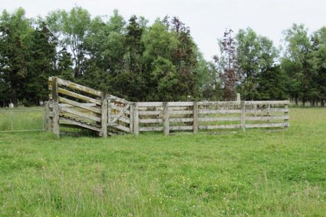 Photo of property in 104 Cd Farm Road, Levin, 5571