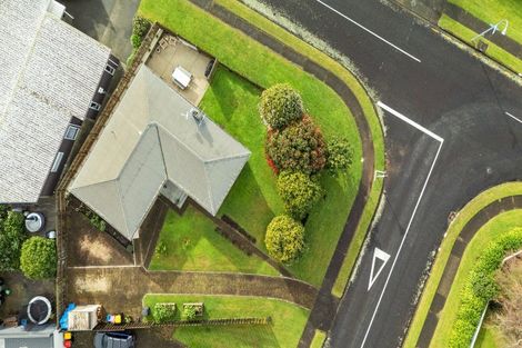 Photo of property in 1 The Drive, Brookfield, Tauranga, 3110