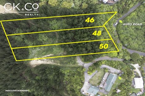 Photo of property in 46 Avro Road, Blue Mountains, Upper Hutt, 5371