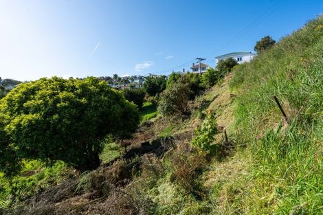 Photo of property in 16 Aitken Place, Mornington, Dunedin, 9011