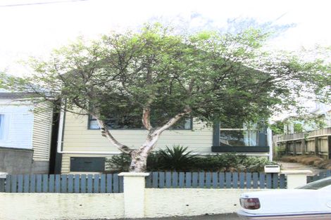 Photo of property in 17 Milton Street, Berhampore, Wellington, 6023