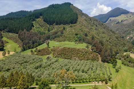 Photo of property in 145 Andrews Road, Wairoa Valley, Brightwater, 7091