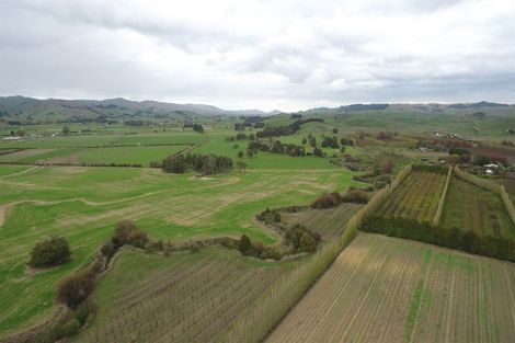 Photo of property in 927 Taniwha Road, Waerenga, Te Kauwhata, 3781