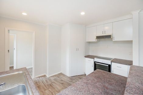 Photo of property in 345 Tremaine Avenue, Takaro, Palmerston North, 4412