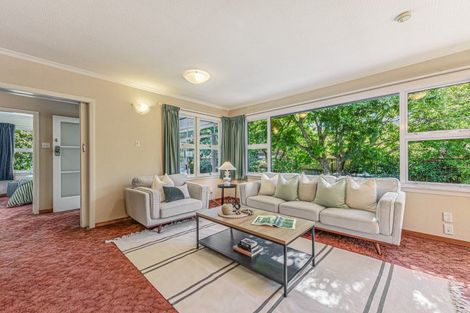 Photo of property in 3 Oldham Lane, The Wood, Nelson, 7010