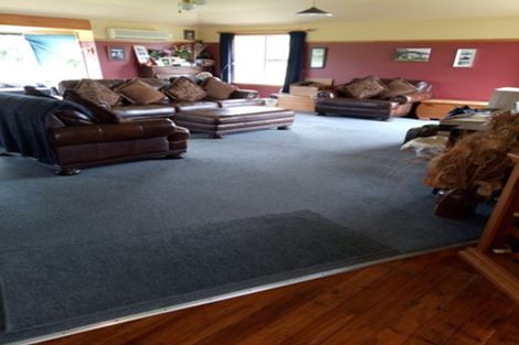 Photo of property in 562 Bird Road, Whataroa, 7886