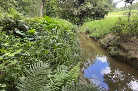 Photo of property in 568 Brown Road, Mangawhai, Kaiwaka, 0573