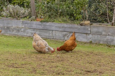 Photo of property in 899f Purangi Road, Cooks Beach, Whitianga, 3591