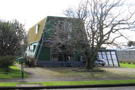 Photo of property in 17 Martin Harvey Street, Levin, 5510