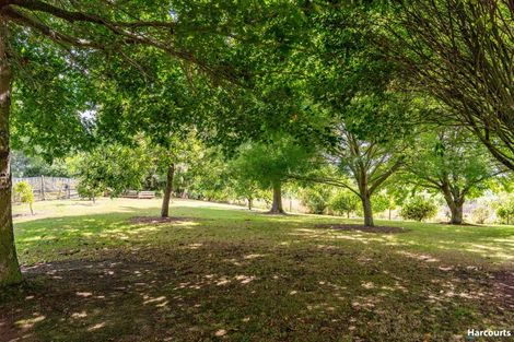 Photo of property in 146 Eden Road, Tasman, Upper Moutere, 7175